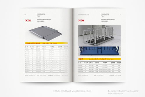 機(jī)電公司黃色風(fēng)格產(chǎn)品目錄設(shè)計(jì)欣賞