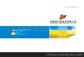 【供應產品說明書目錄畫冊彩色印刷(圖)】價格,廠家,圖片,紙類印刷,長沙市新天地印刷設計-